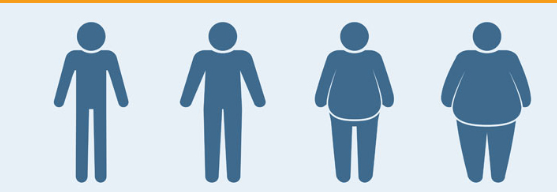 Boy Kitle İndeksi Hesaplat